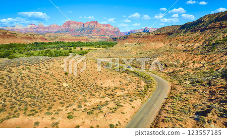 Aerial of Red Rock Desert Oasis with Winding Road in Southwest USA 123557185