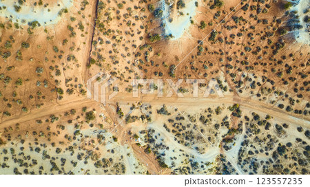 Aerial of Utah Desert Landscape with Dirt Road and Sparse Vegetation 123557235