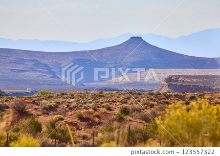 Mesa and Desert Landscape at Zion National Park Eye-Level View Mesa and Desert Landscape at Zion National Park Eye-Level View 123557322