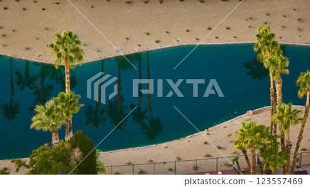 Aerial Oasis Palm Trees and Blue Water in Desert Landscape Aerial Oasis Palm Trees and Blue Water in Desert Landscape 123557469