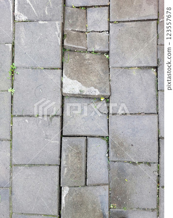 Explore the Beauty of Aged Stone Paths Amidst Nature in a Serene Urban Setting 123557678