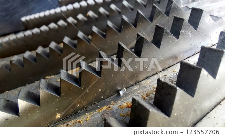 Sharp Steel Knives Grinding Fruit in a Robust Crusher for Juicing 123557706