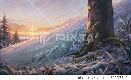 Snowy forest illuminated by the morning sun, low angle shot from the base of a tree 123557741