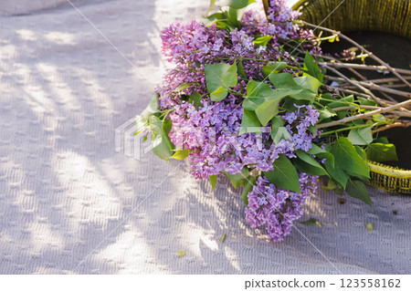 Beautiful lilac flowers in soft sunlight on a knitted fabric background, romantic spring floral composition, nature and seasonal freshness. 123558162