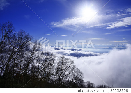 志賀高原雲海 123558208