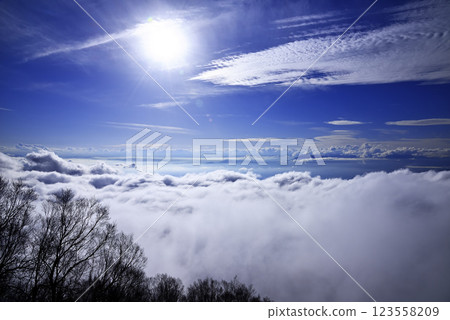 志賀高原雲海 志賀高原雲海 123558209