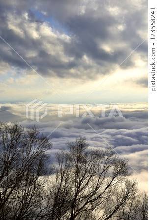 Shiga Highlands Sea of Clouds 123558241