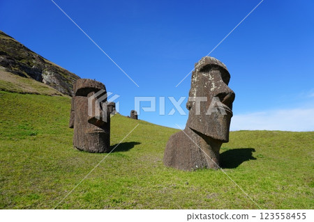 Moai of Rano Raraku on Easter Island 123558455