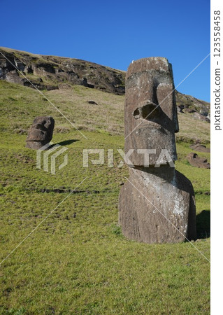 復活節島拉諾拉拉拉庫的摩艾石像 復活節島拉諾拉拉拉庫的摩艾石像 123558458