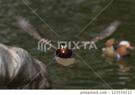 Setting Setting 123558512