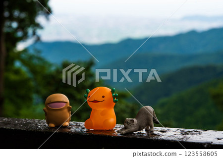 Resting on top of a mountain 123558605