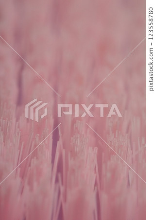 Brush Tip Brush Tip 123558780