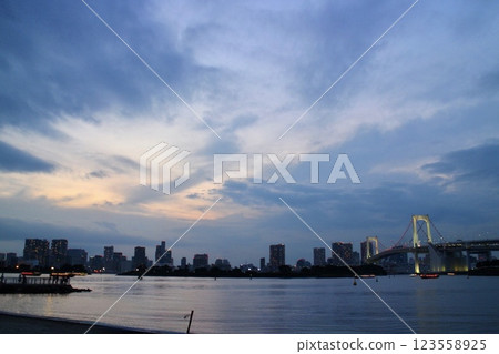 從台場公園遠眺彩虹橋 123558925