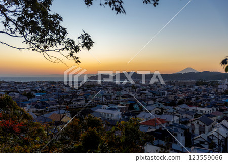 E217 series train overlooking Mount Fuji at sunset 123559066