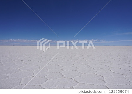 White plains of the Uyuni Salt Flats in December, Bolivia 123559074