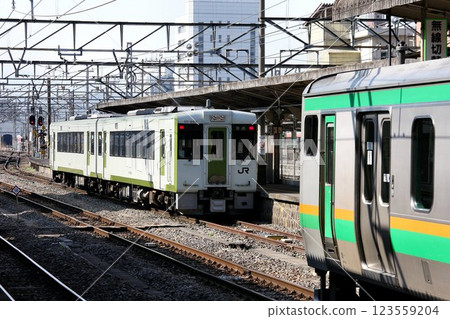 Yadaka Line Kiha 110系列 123559204