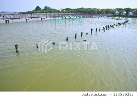 Early summer: Lake Isanuma with plenty of water. Lakeside scenery in July. 123559332