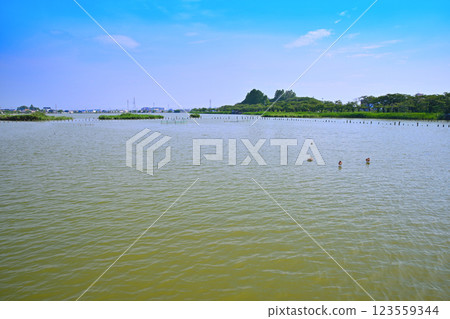 初夏:水量充沛的伊佐沼湖。 初夏:水量充沛的伊佐沼湖。 123559344