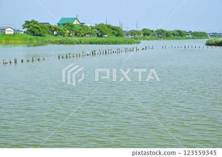 初夏:水量充沛的伊佐沼湖。 初夏:水量充沛的伊佐沼湖。 123559345