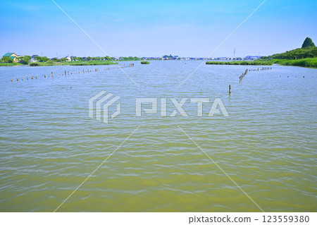 Early summer: Lake Isanuma with plenty of water. Lakeside scenery in July. 123559380