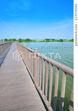 Early summer, Promenade, Isanuma Pond with plenty of water, Lakeside scenery in July 123559382