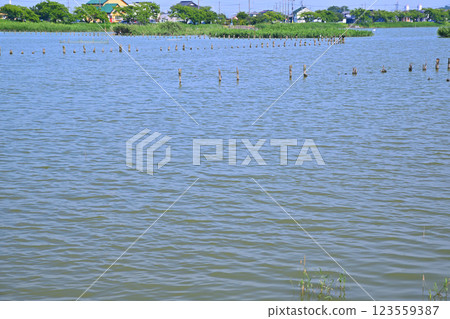 Early summer: Lake Isanuma with plenty of water. Lakeside scenery in July. 123559387