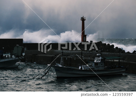 The rough Sea of Japan in winter (Izumo City) The rough Sea of Japan in winter (Izumo City) 123559397