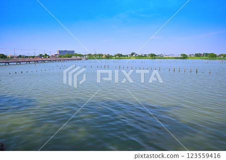 初夏：水量充沛的伊佐沼湖。 123559416