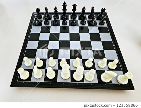 the chess board with chess pieces 123559860