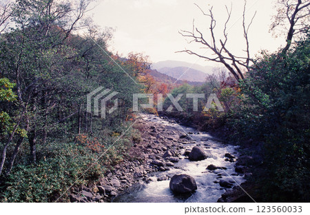 An ordinary scene in the mountains 123560033