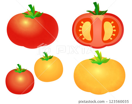 Red and yellow tomatoes illustration 123560035