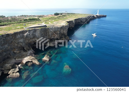 Drone photography of Cape Zanpa, Okinawa ② Drone photography of Cape Zanpa, Okinawa ② 123560041