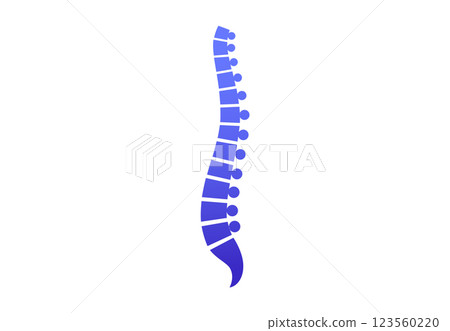 Spine medical poster 123560220