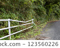 崎嶇道路邊緣的護欄 123560226