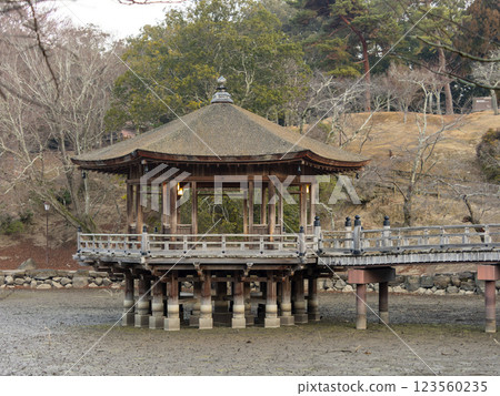 Ukimi-do Hall at Sagiike Pond in Nara Park 123560235