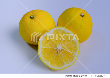 Haruka photographed against a white background 123560259