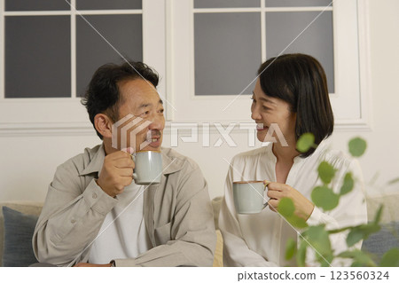 成熟的夫婦晚上在客廳聊天 123560324