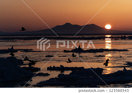 Dawn of Shiretoko Dawn of Shiretoko 123560543