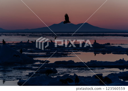 Dawn of Shiretoko Dawn of Shiretoko 123560559