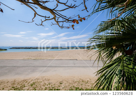 Bibi Beach in Itoman, Okinawa 123560628
