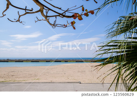 沖繩糸滿市的美美海灘 沖繩糸滿市的美美海灘 123560629