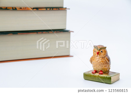 閱讀的形象 123560815