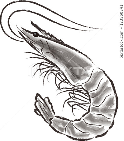 Shrimp illustration in ink painting style 123560841