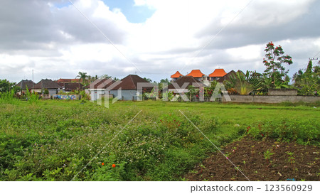 峇裡島當地風光 123560929