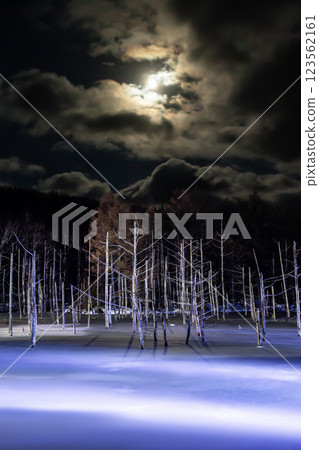 點亮藍色的池塘 123562161