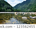 A beautiful, clear stream in the mountains 123562455
