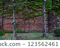 Red brick wall and two trees 123562461