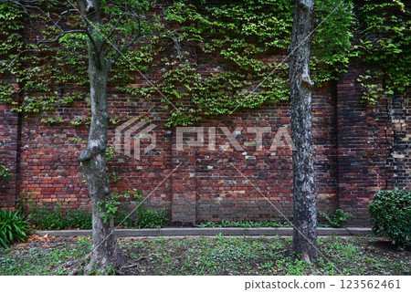 Red brick wall and two trees 123562461