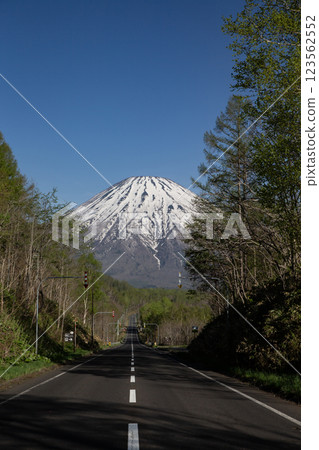 通往羊蹄山的道路 123562552
