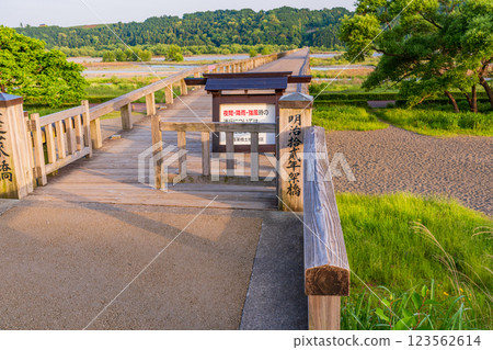 [Shizuoka Prefecture] Horai Bridge in Shimada City, Afternoon 123562614